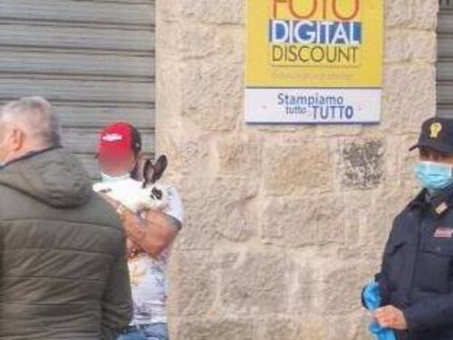 Fondi, sorpreso a spasso con un coniglio in piena "zona rossa"