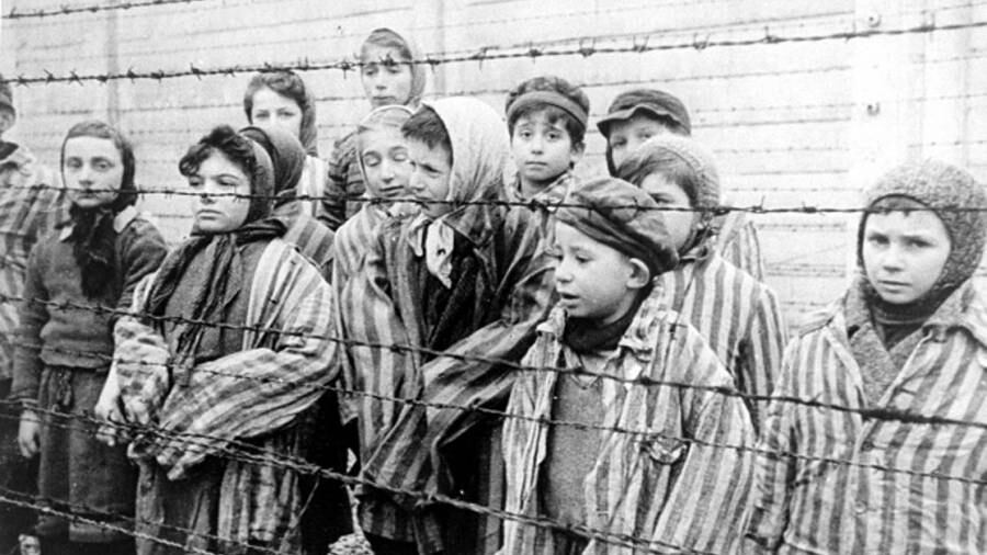 Il virus inventato da tre medici per salvare i bambini dalla Shoah