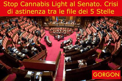 La satira del giorno: stop alla cannabis light 1