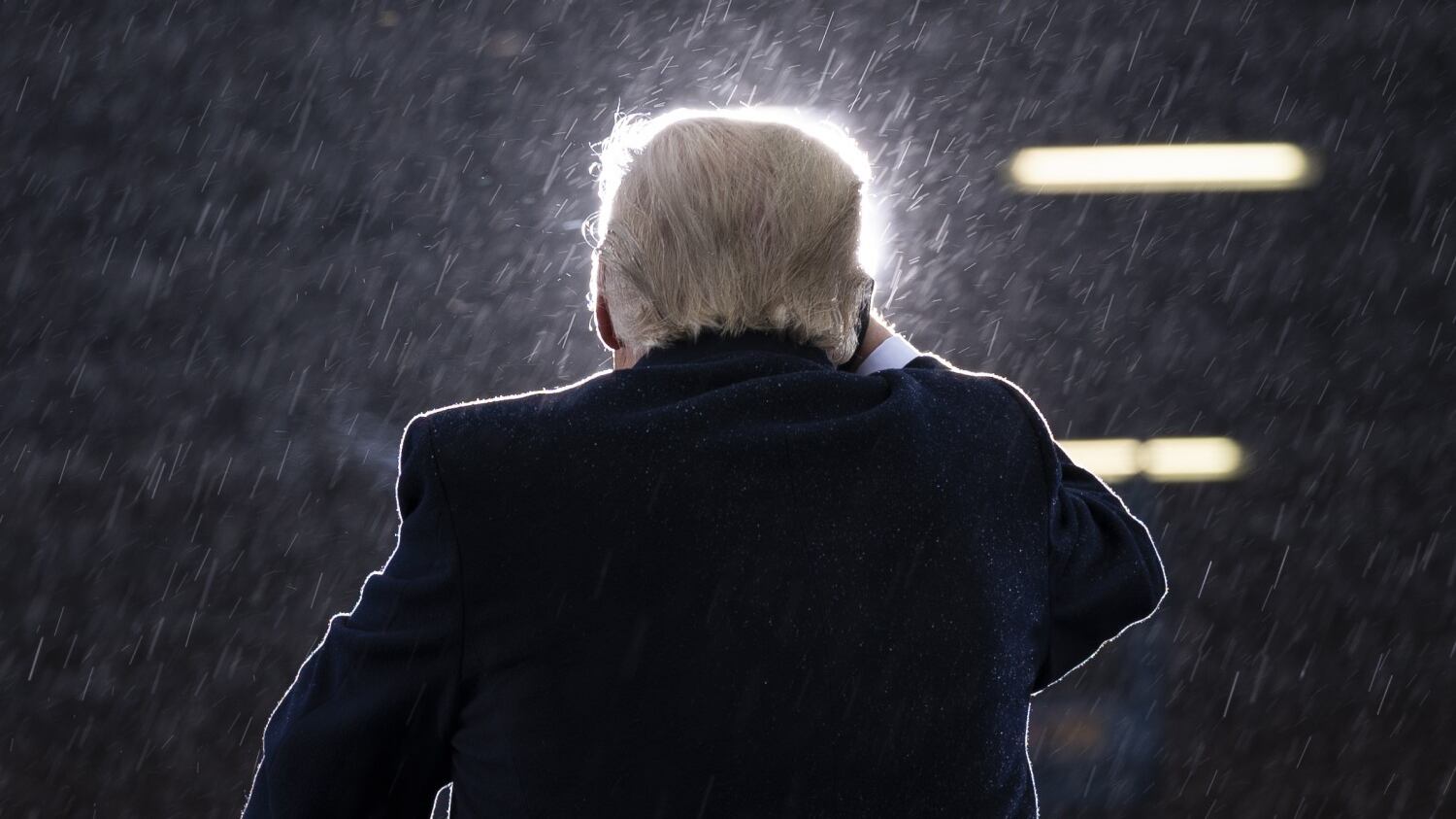 I tormenti dell'elefantino