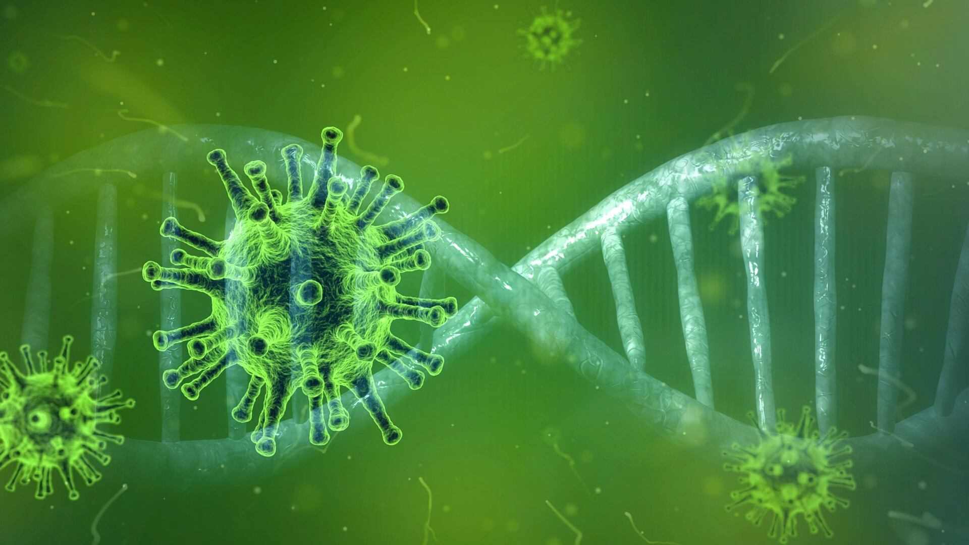 Il virus ha perso un pezzo: "Mutato e meno aggressivo"