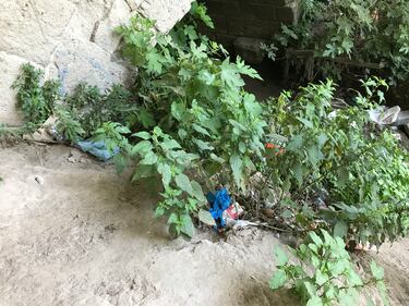 Cloaca Massima, il monumento abbandonato è diventato un rifugio per i senzatetto 14