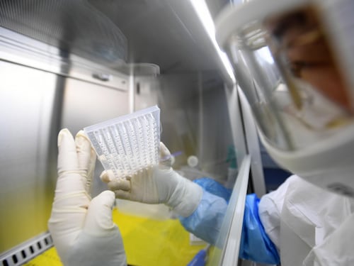 Il “germe demoniaco” e la fuga dal laboratorio russo: lo scenario che può scatenare il caos globale