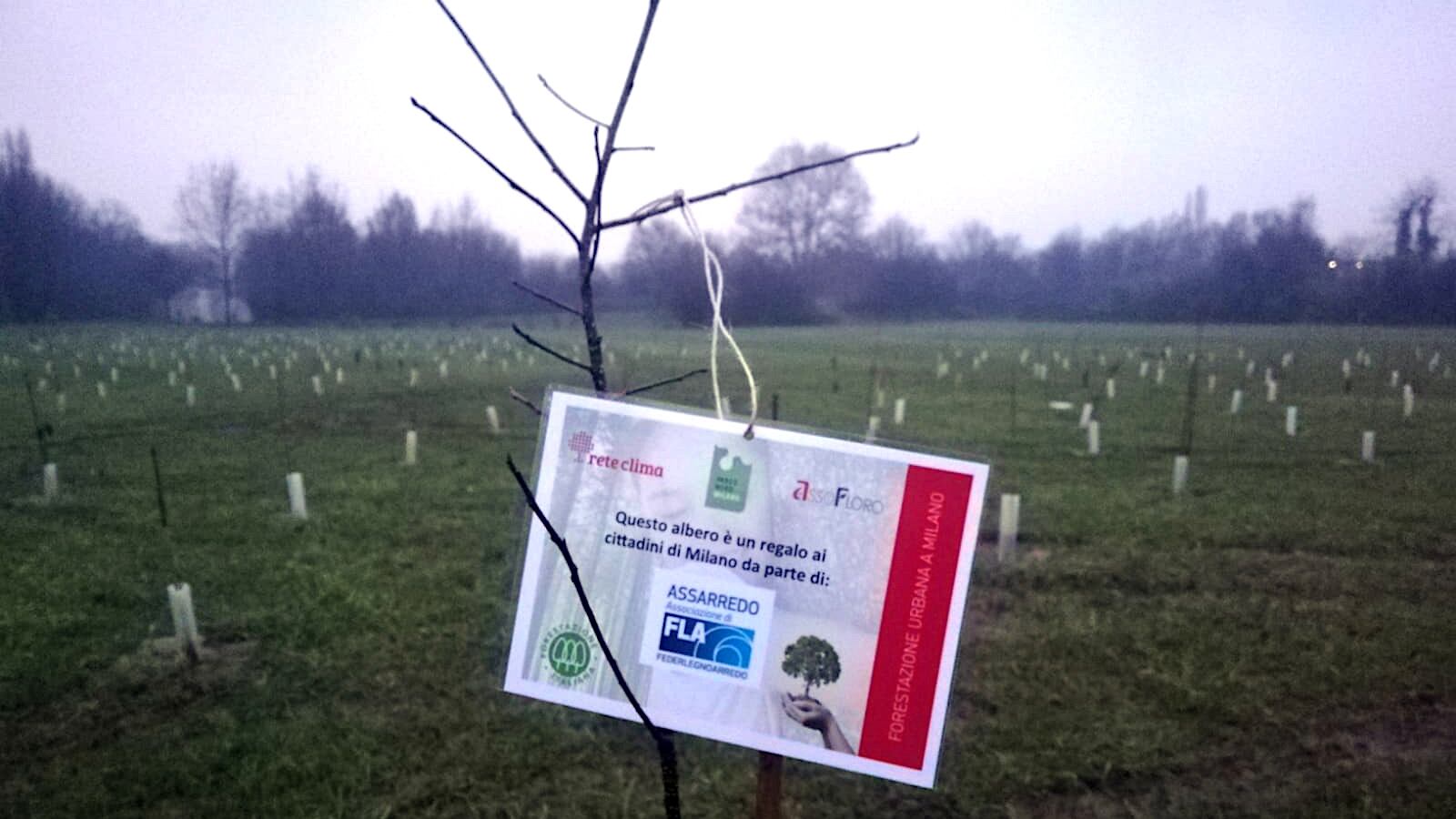 "Bosco del design" piantato nel Parco Nord Milano il primo albero donato da Assarredo