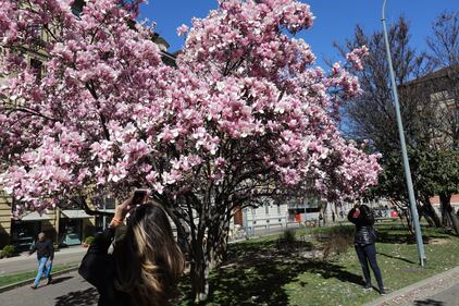I giardini Renata Tibaldi in fiore a Milano  5