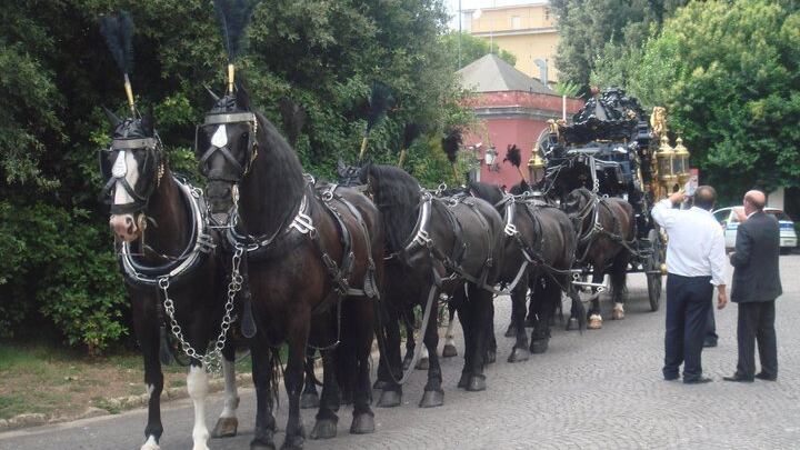 Durante il corteo funebre il cavallo muore per botti di un matrimonio vicino