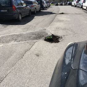 Fiori nelle buche, la protesta nei municipi romani 5