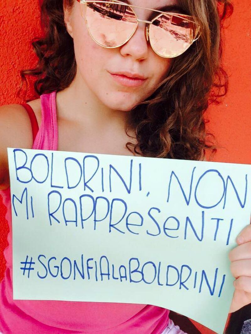 #sgonfialaboldrini: le petizione online contro Laura Boldrini 14