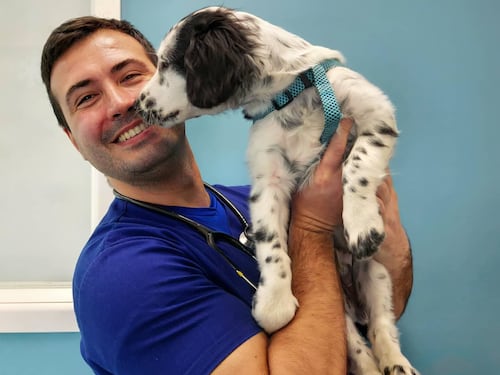 Addio a "DottorPet". Morto il veterinario più famoso del web