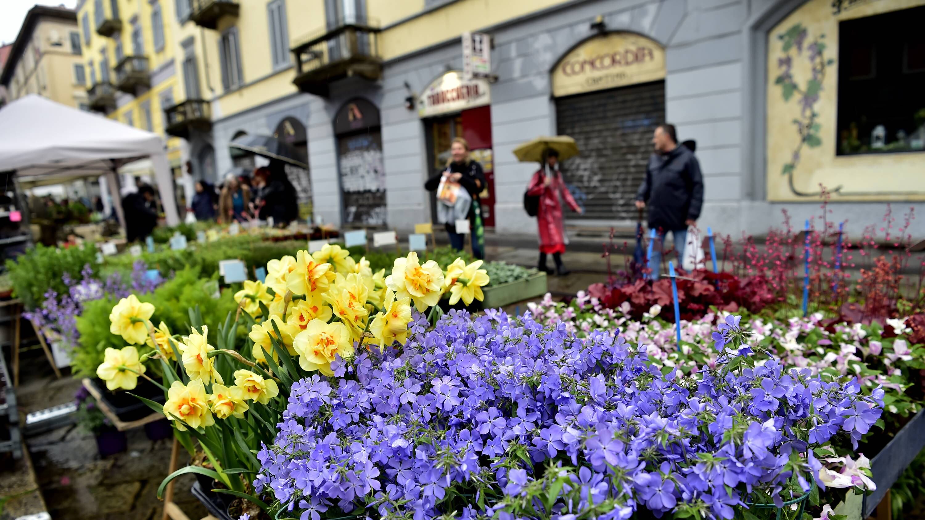 Aiuti senza burocrazia: 7mila euro subito a vivai e agriturismi