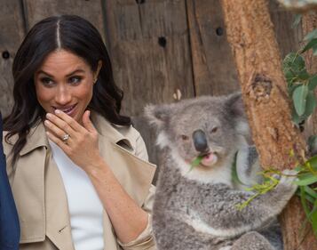 Meghan Markle in Australia: le foto 8