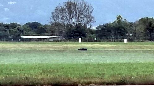 Esplodono pneumatici in atterraggio: volo Ryanair fermo in pista a Orio al Serio 8