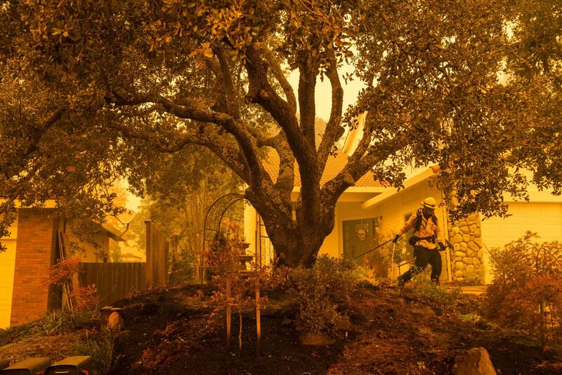 Gli incendi in California 10