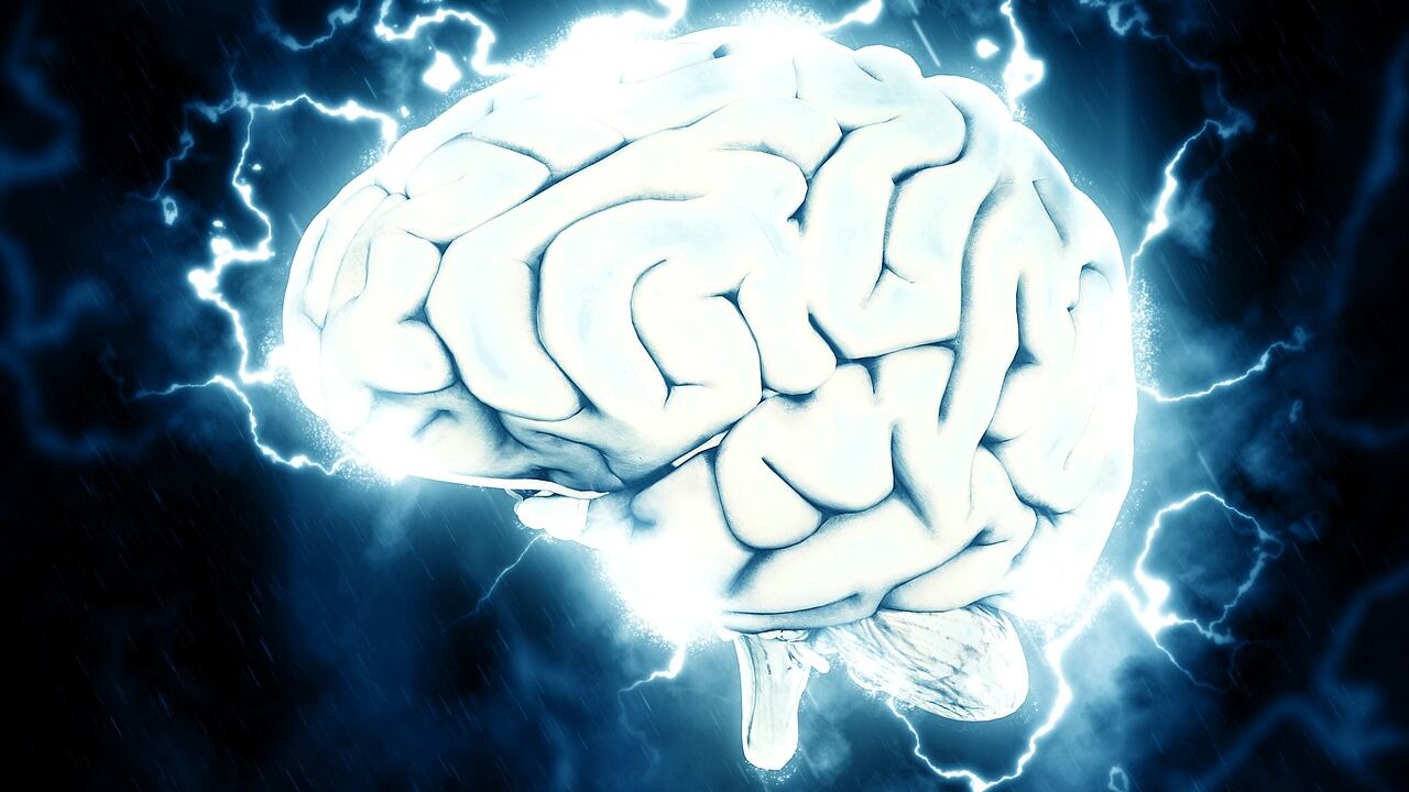 Impossibile dimenticare: le 60 persone con una super memoria