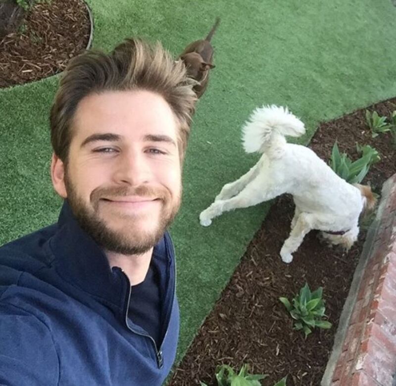 Liam Hemsworth e Miley Cyrus, le foto più belle 8