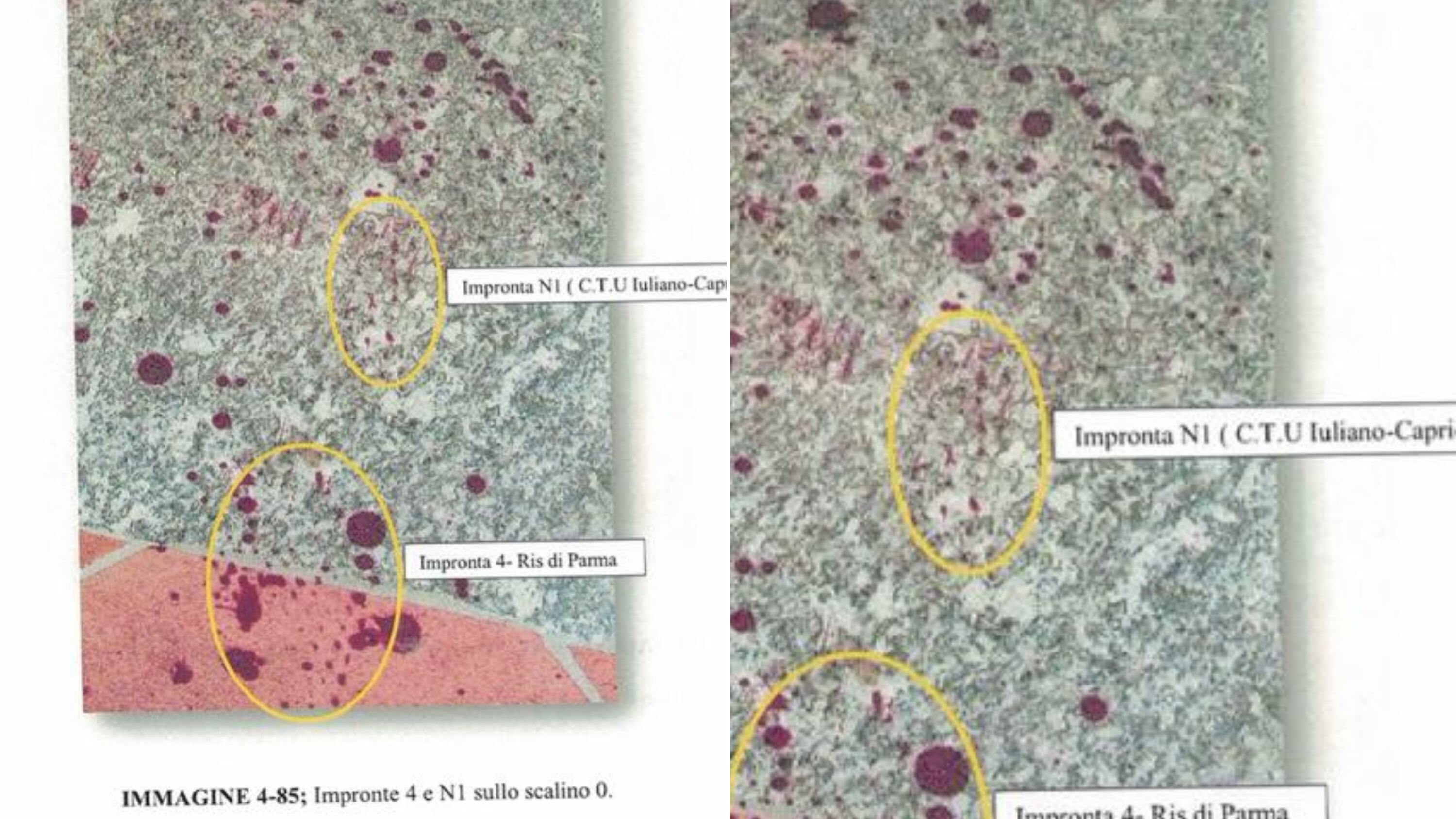 Dalle Bpa la conferma alla nostra inchiesta: ecco l’impronta sul gradino zero mai repertata