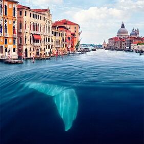 Venezia congelata, i canali come i grandi laghi ghiacciati 6