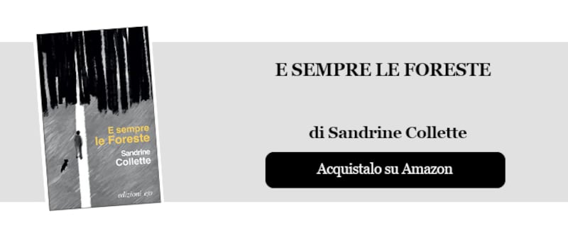 E sempre le Foreste_banner