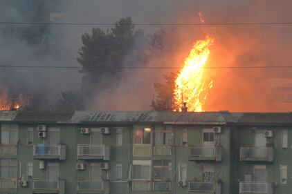 Palermo accerchiata dal fuoco: bruciano le colline attorno alla città 11