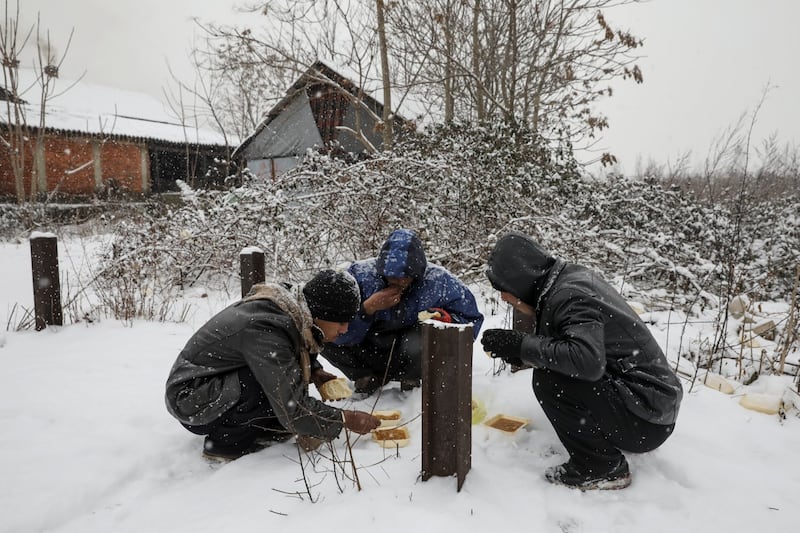 Migranti in fila nella neve a Belgrado 14