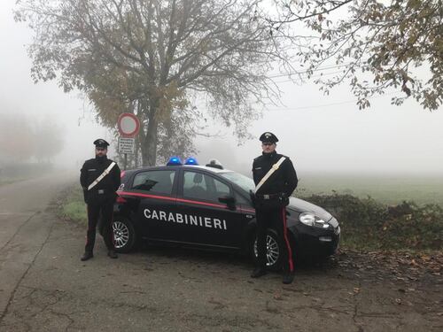 Trovati resti umani vicino Novellara: "Potrebbero essere di Saman"