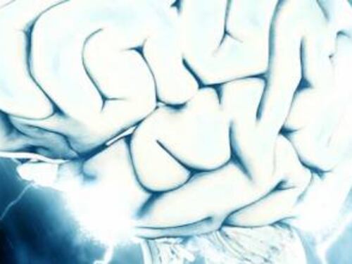 Una colonia di batteri abita il nostro cervello?