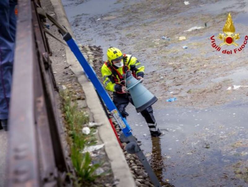 Milano, nordafricano scappa dalla polizia e si butta nel Naviglio in secca 4