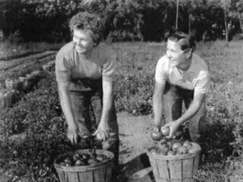 Gli esuli in Canada: Guido e Bruna Braini