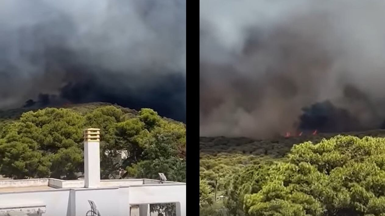 Evacuati 1.200 bambini: è allarme incendi in Grecia