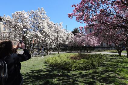 I giardini Renata Tibaldi in fiore a Milano  4