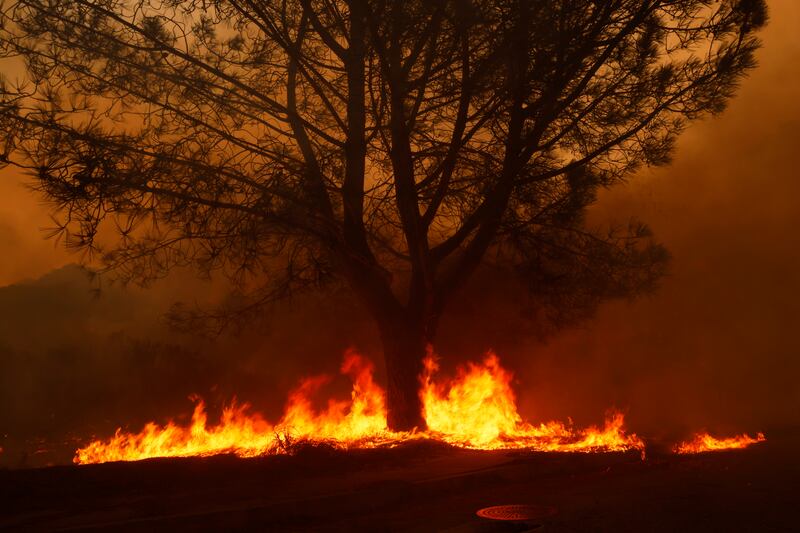 Incendi a Los Angeles