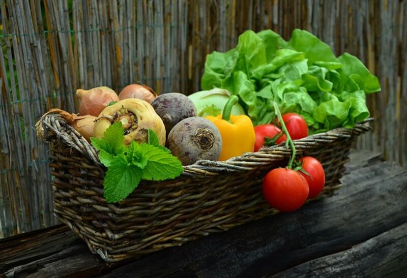 Dieta