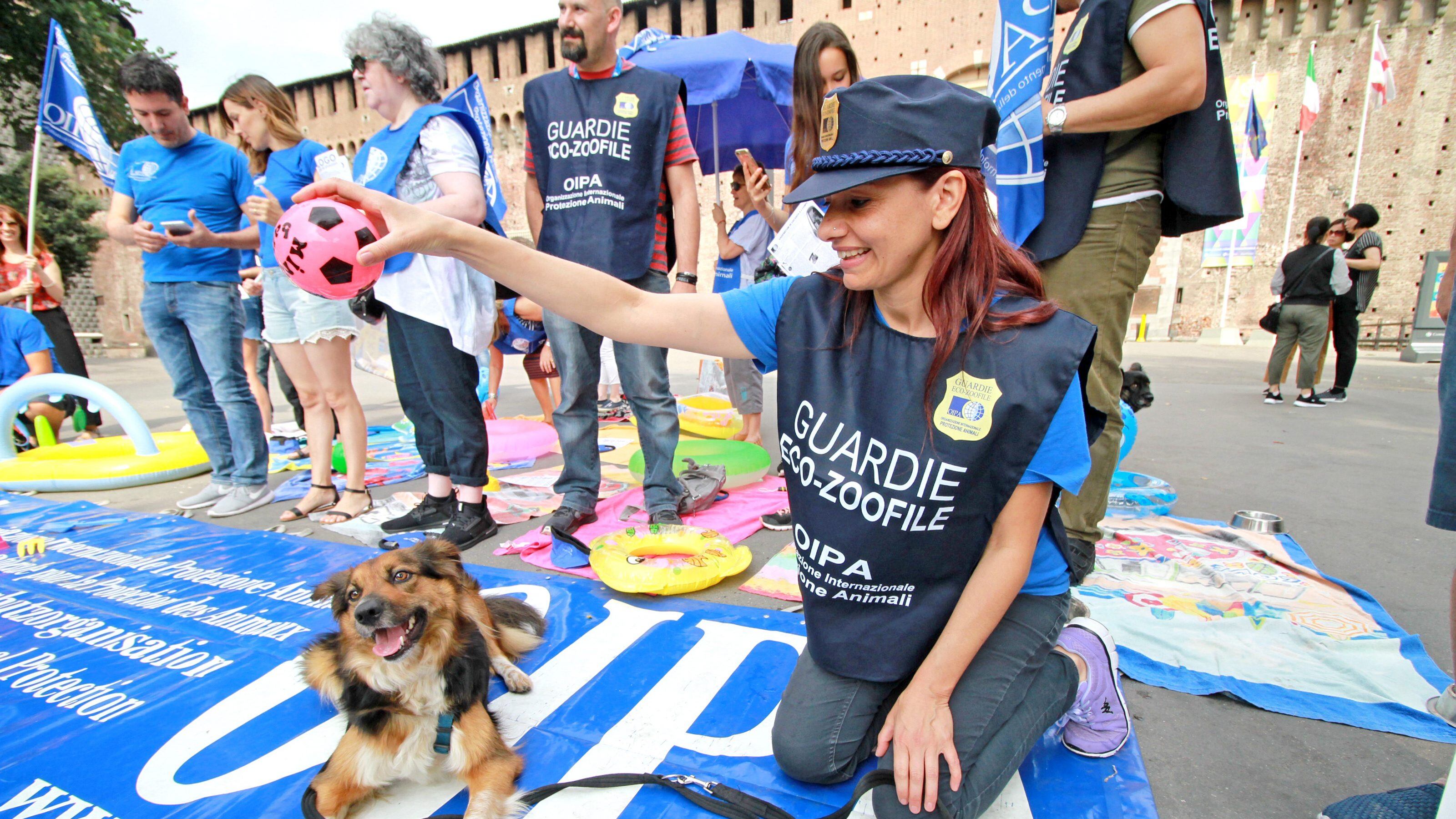 Via alla campagna contro l'abbandono animali