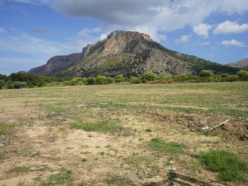 Il Tar dà ragione ai cittadini: a Terrasini nessuna stazione di rifiuti