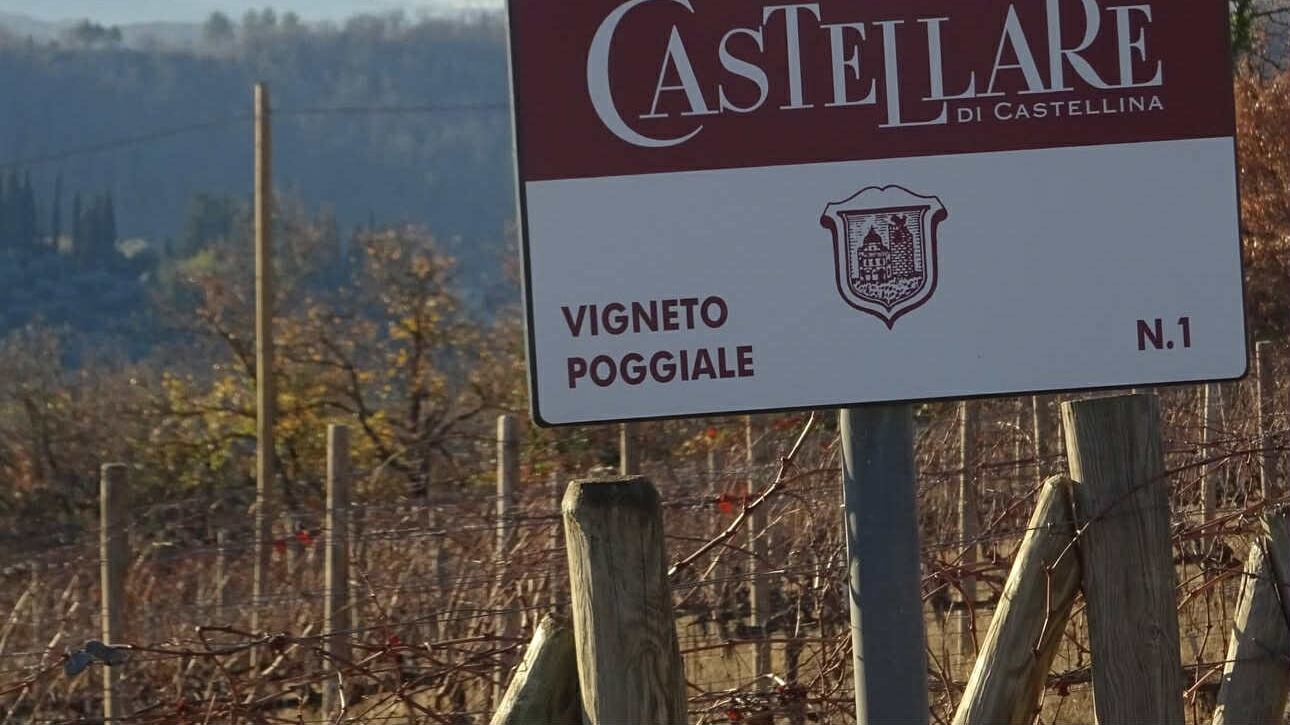 Torre Alta, il nuovo volto del Chianti Classico