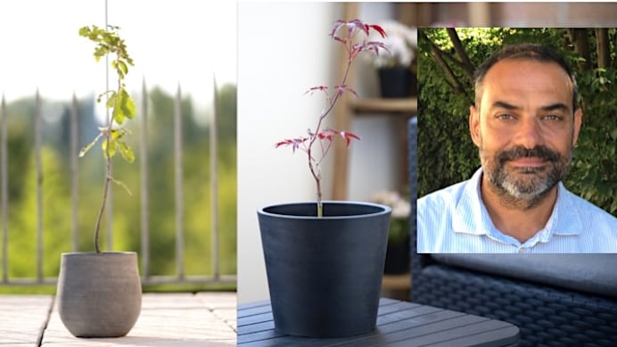 Made expo, piante e alberi da balcone per case e città green