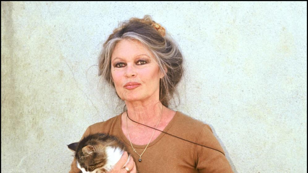 "Impongono rituali di sangue". E gli islamici ora minacciano la Bardot