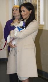 Meghan Markle incinta: le foto 10