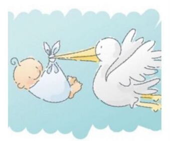 Cristina del Basso è diventata mamma 2