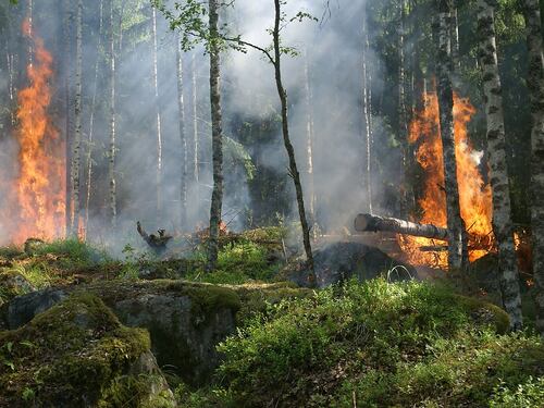 Incendi in Sicilia, un piano da 25 milioni contro i piromani