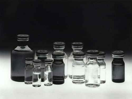 Furto di fentanyl, l'ipotesi delle corse dei cavalli