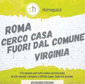 "Cerco casa bianca zona Washington", la pubblicità sfotte Donald, Hillary e non solo... 5