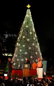 L'albero di Natale di Obama 1