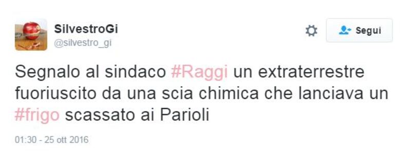 Raggi: "Troppi frigoriferi per strada". E su Twitter è subito #frigogate 8