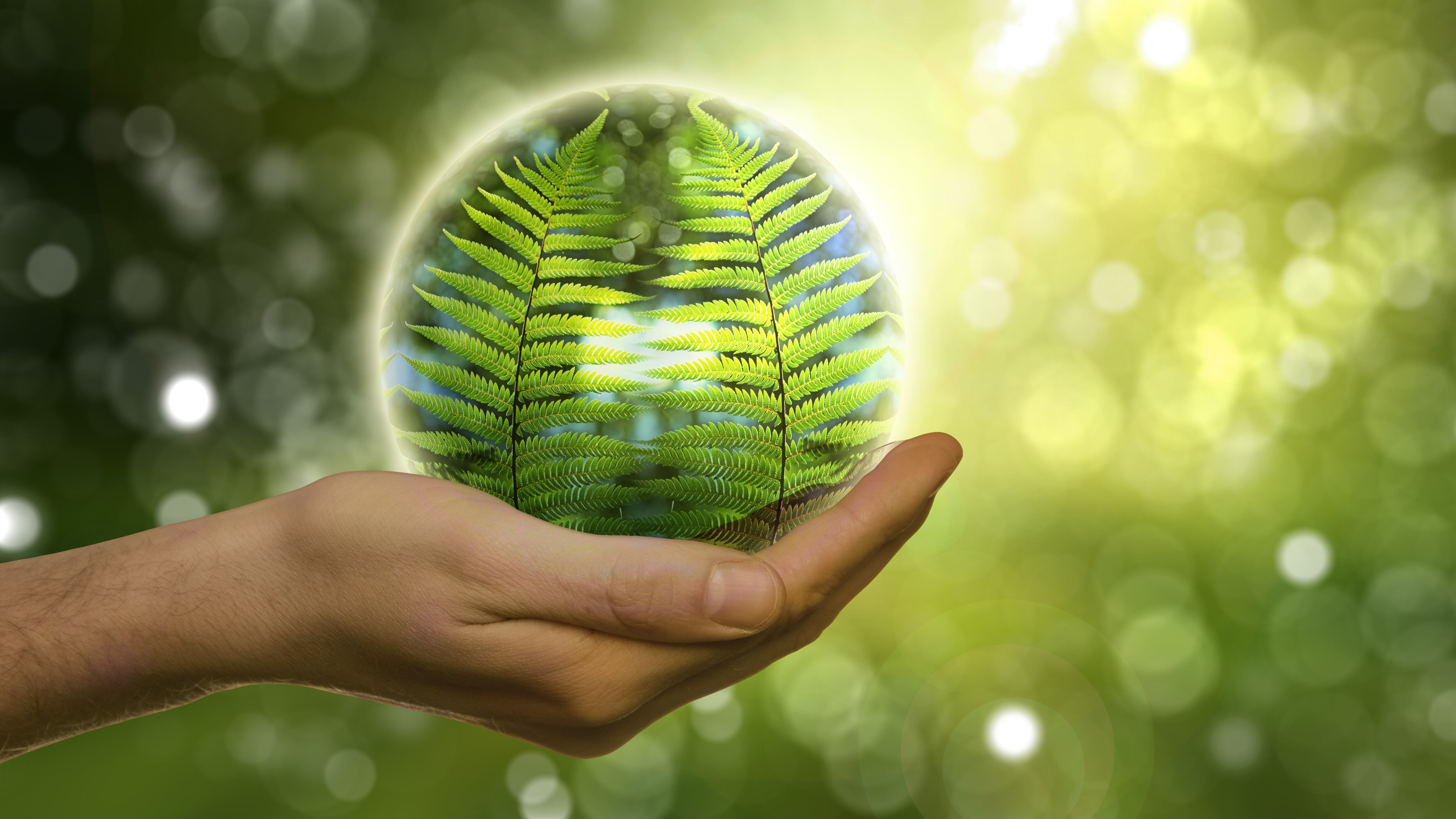 Transizione energetica: quali Paesi puntano più sulle rinnovabili?