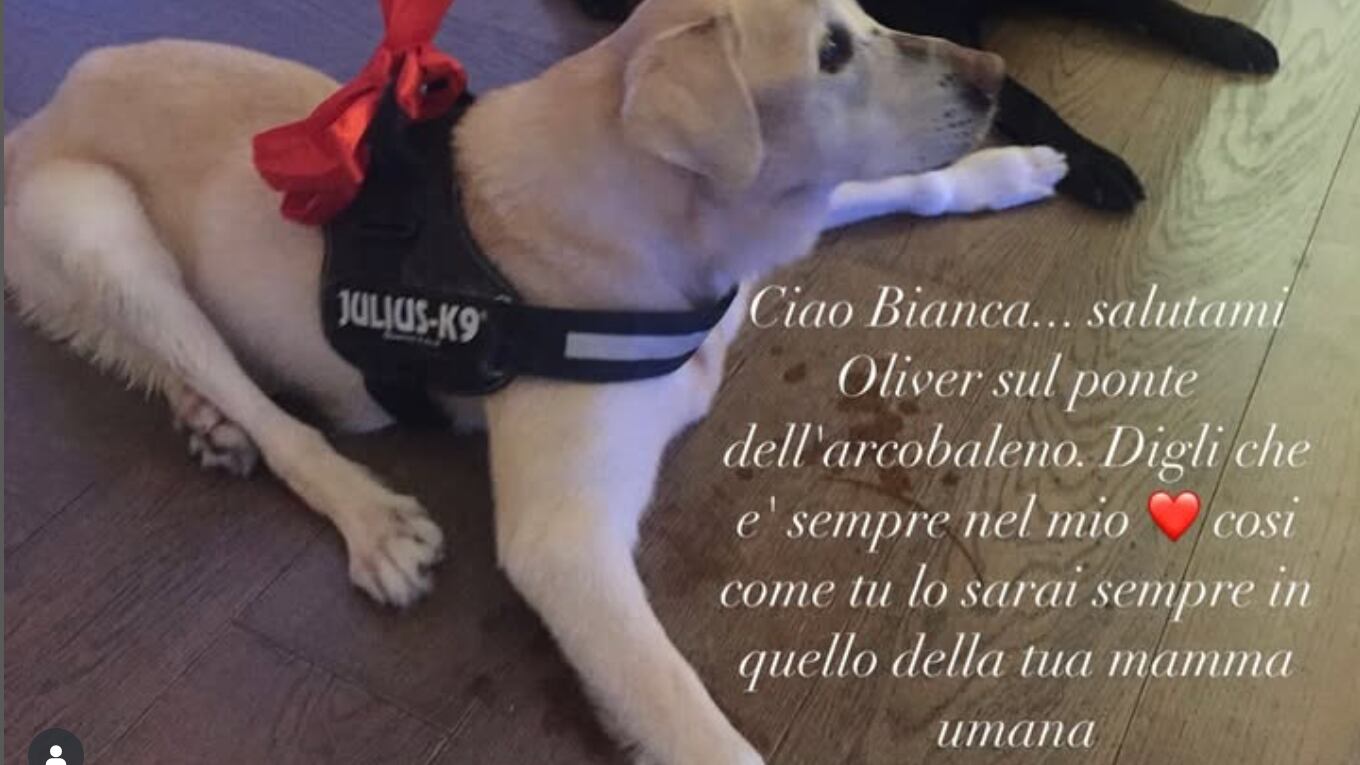 Addio a Bianca, il cane di Antonella Clerici: la commovente dedica della conduttrice
