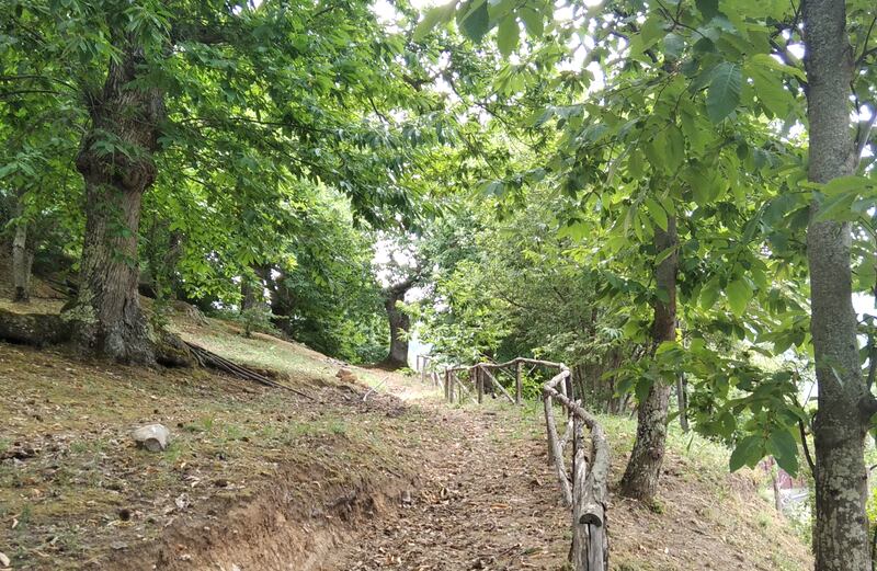 Conca della Campania