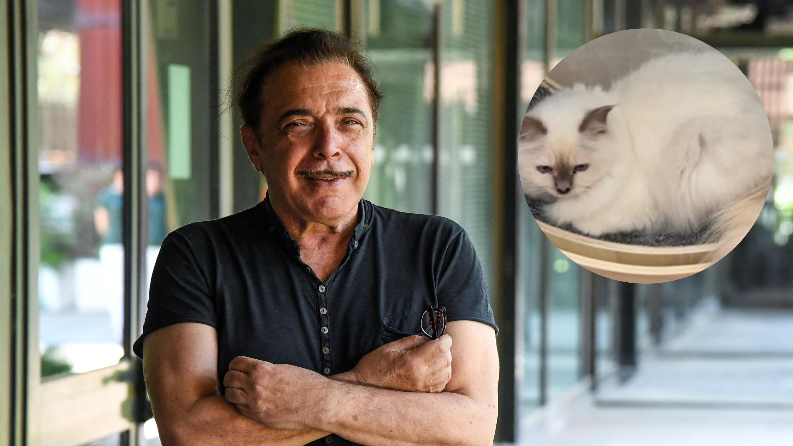 Anche i cani molecolari per ritrovare il gatto di Nino Frassica a Spoleto