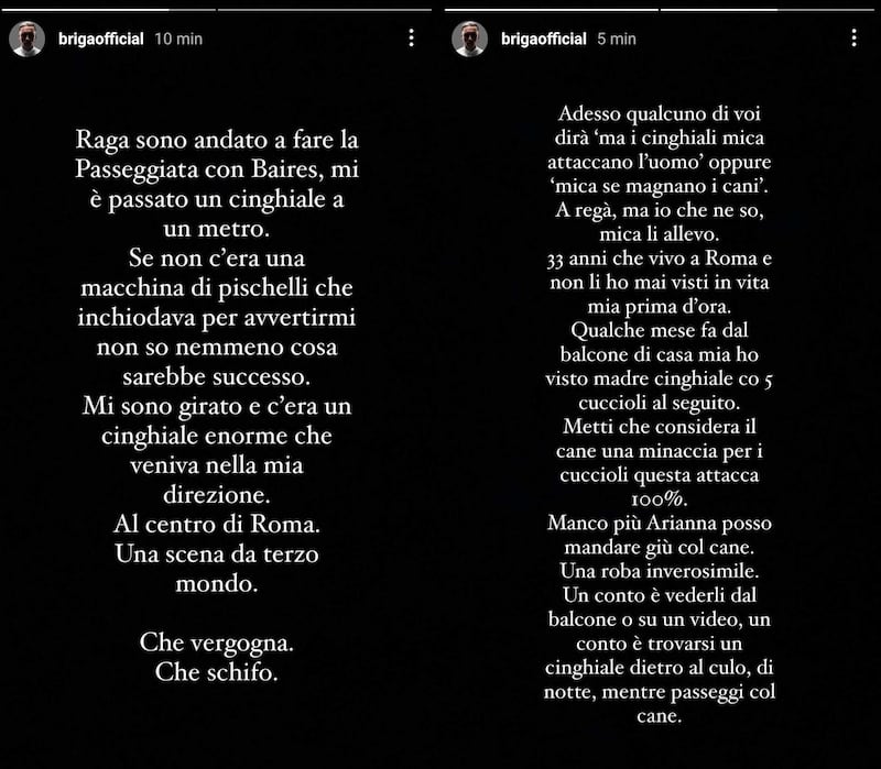 Briga social