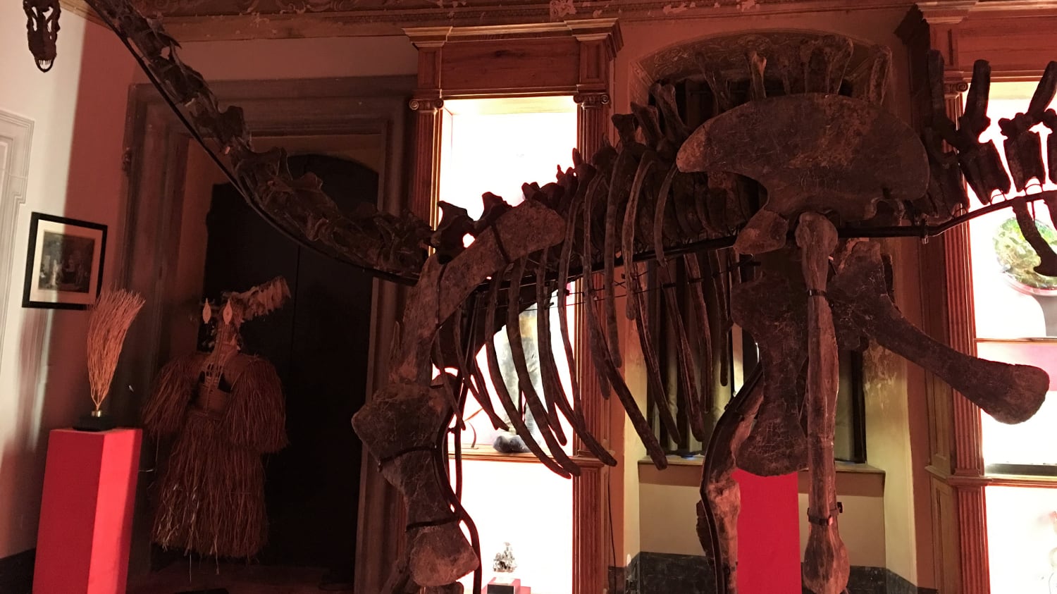 Il mercante di dinosauri: nel suo "portafoglio" c'è T-Rex